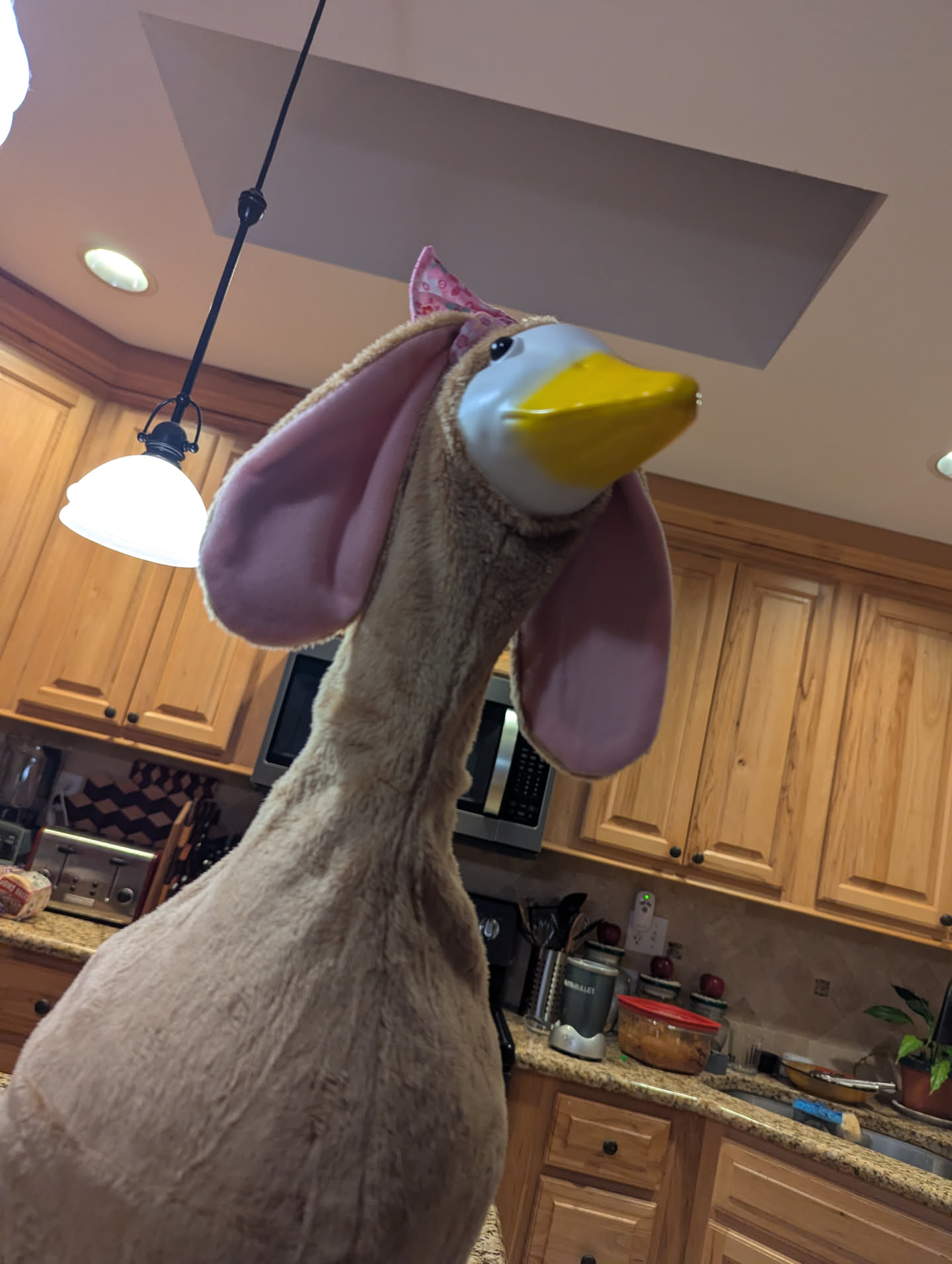 For example, have an Easter goose